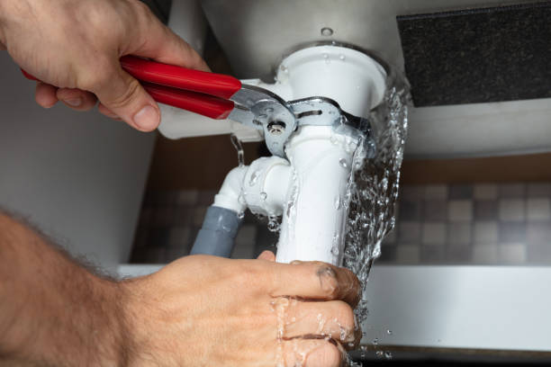 Best Professional water damage repair  in Mountain Lake Park, MD