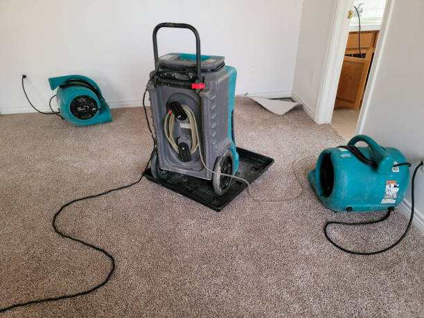 Best Sewage cleanup and water damage restoration  in Mountain Lake Park, MD