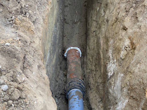 Best Flood damage cleanup  in Mountain Lake Park, MD