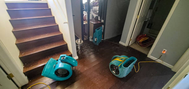 Sewage cleanup and water damage restoration in MD