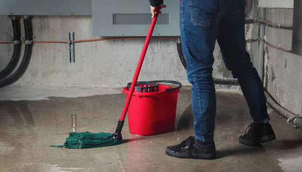 Best Water damage restoration specialists  in Mountain Lake Park, MD