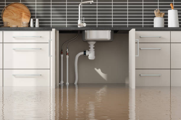 Best Basement water damage restoration  in Mountain Lake Park, MD